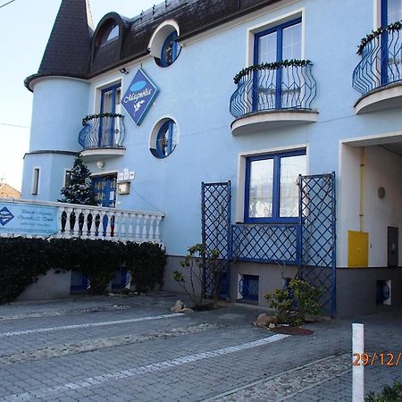 Pension Magnolia Trenčín Kültér fotó